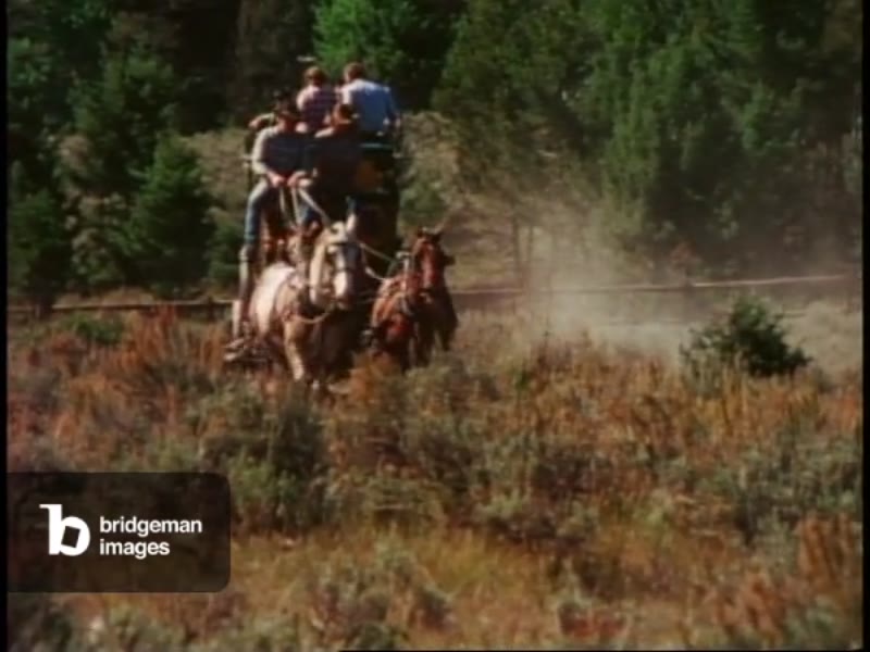 Stagecoach ride, coach pulled by team of horses, Yellowstone National Park