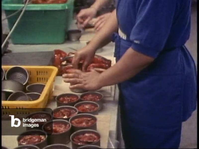 Silver Lining cannery, Ketchikan, Alaska, packing smoked salmon in cans