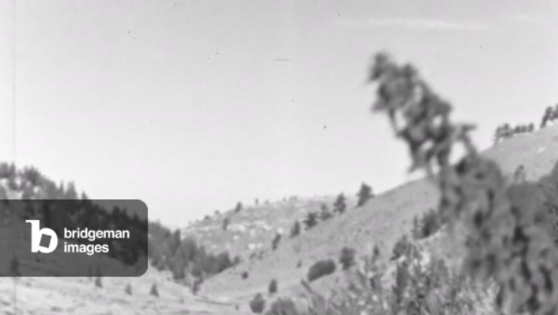 Image of Black and White Landscape With Rolling Hills and Sparse Vegetation
